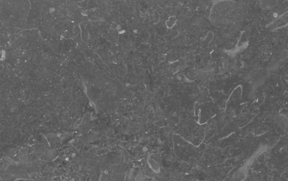 Dark Limestone LSI Stone